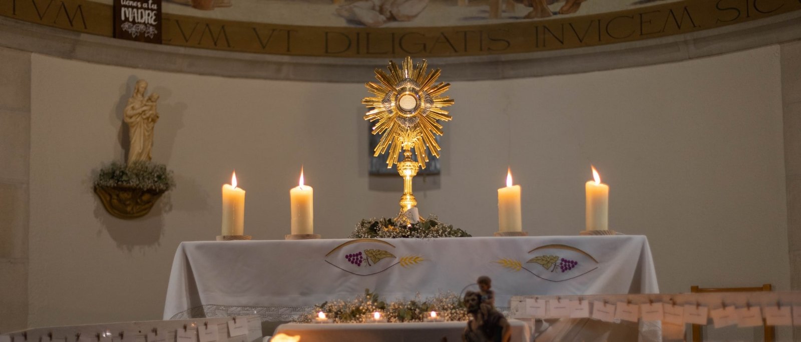 can xammar 2023 354 min