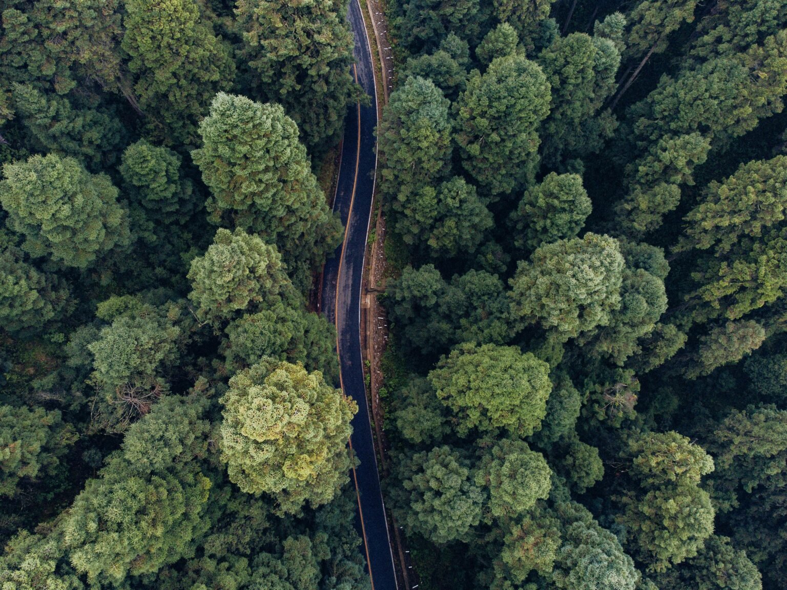 pexels alexwolfmx 14541417 scaled